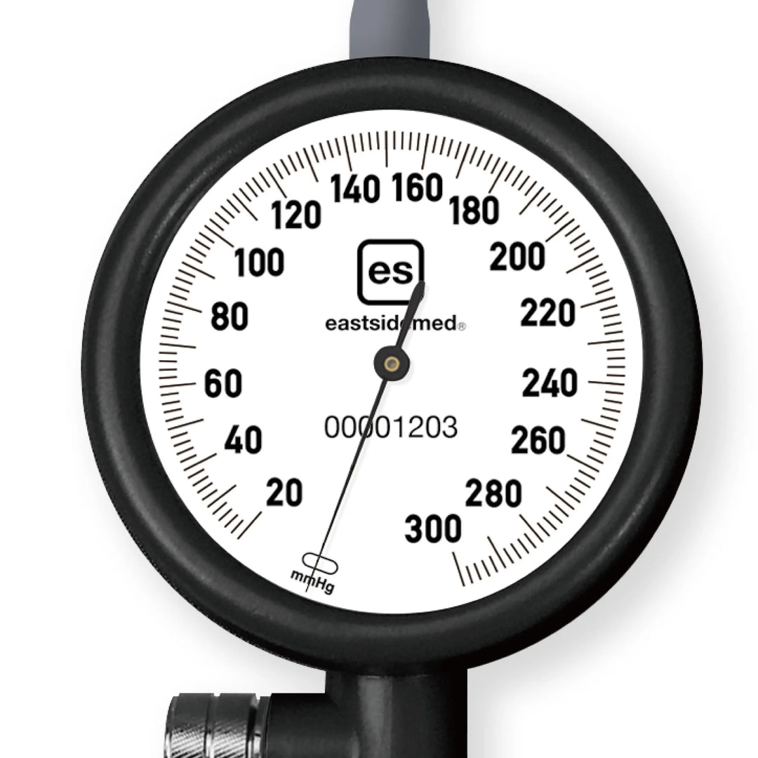 es Manometer S313NH / es マノメーター S313NH